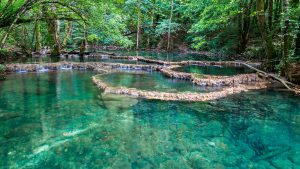 les tuffes arbois