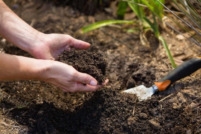 biodiversite des sols