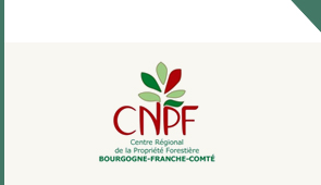 logo CNPF