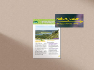 nature junior BFC