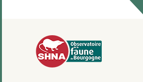 logo SNHA OFAB