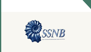 logo SSNB