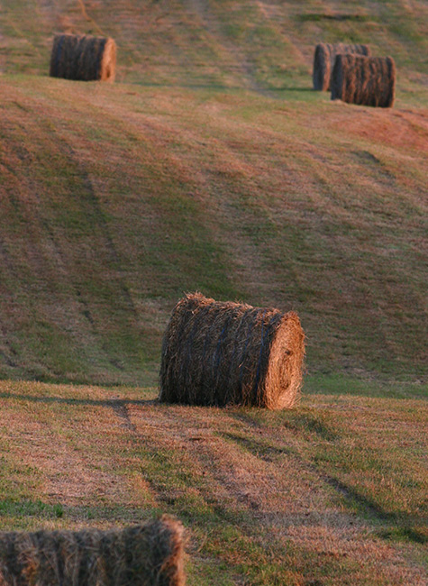 paysage agricole BFC