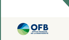 logo OFB