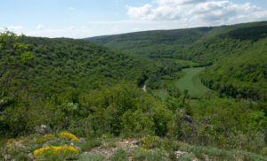 La réserve naturelle régionale du Val-Suzon