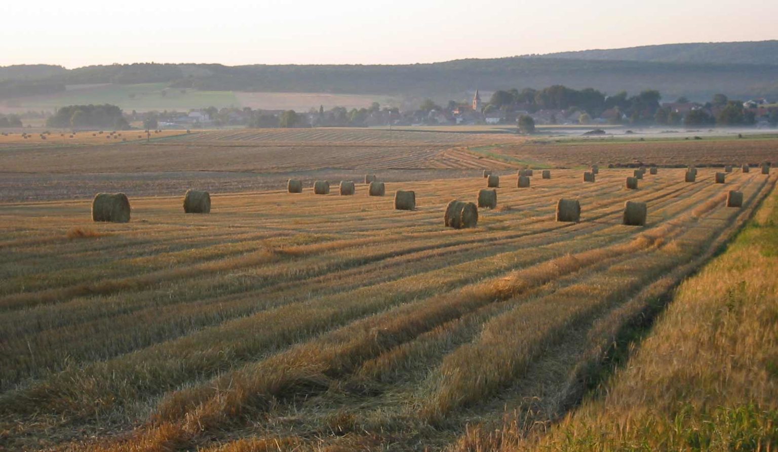 Indicateurs Surface agricole utile régionale cultivée en agriculture