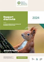 Rapport d&rsquo;activité 2024
