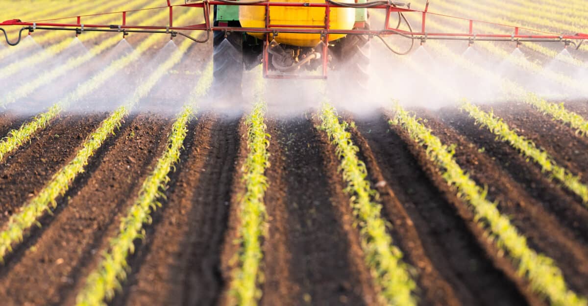 Tracteur qui asperge un champ de pesticides