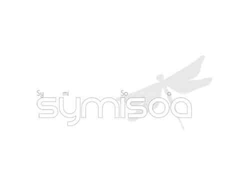 EPAGE Symisoa