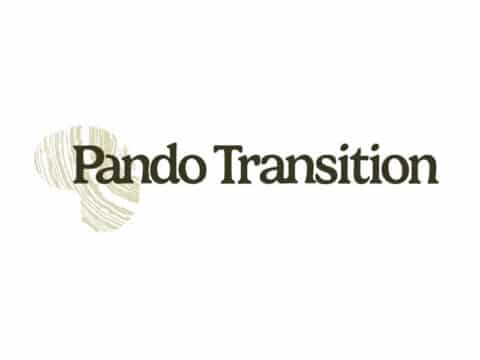 Pando Transition