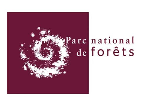 Parc national de forêts
