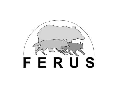 Ferus