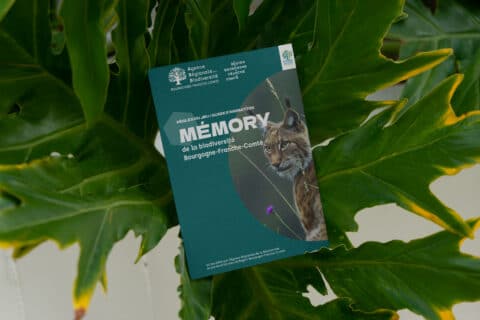 Jeu Mémory de la biodiversité