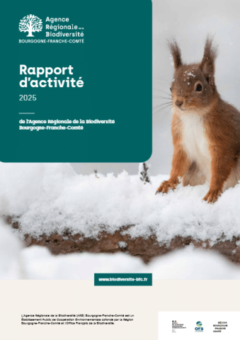 Rapport d&rsquo;activité 2025