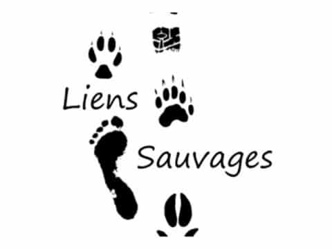 Liens Sauvages